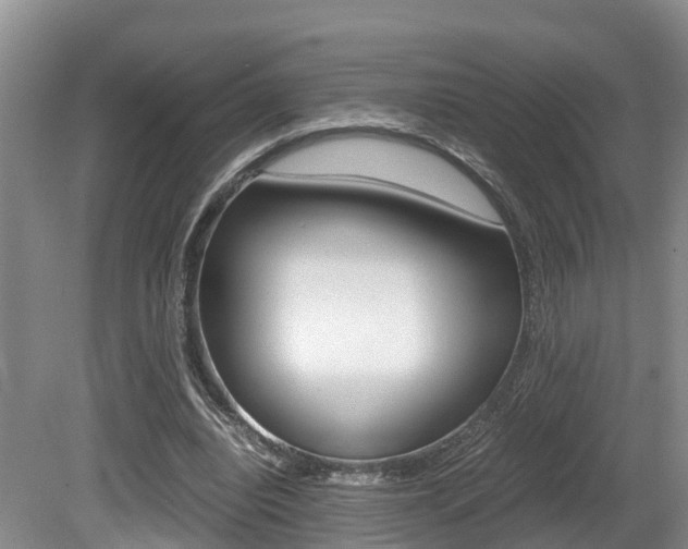 X0000080710440200612150907