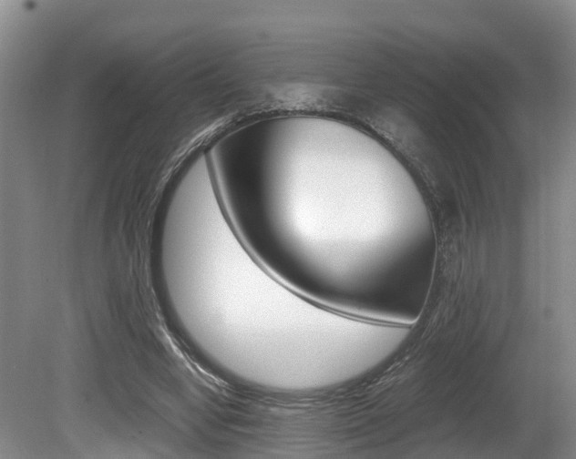 X0000080710442200612150907