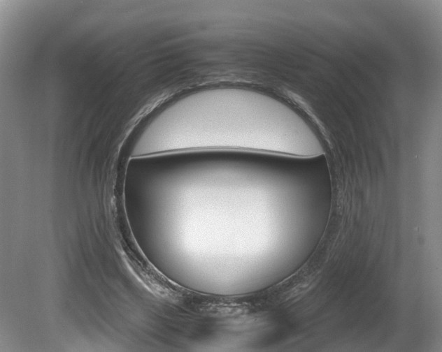 X0000080710443200612150907