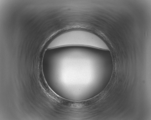 X0000080710444200612150907