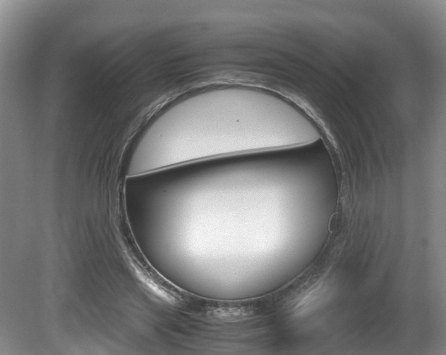 X0000080710445200612150907