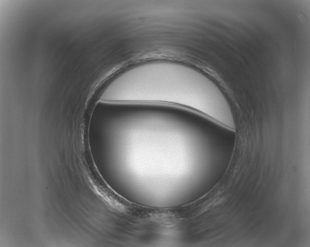 X0000080710446200612150907