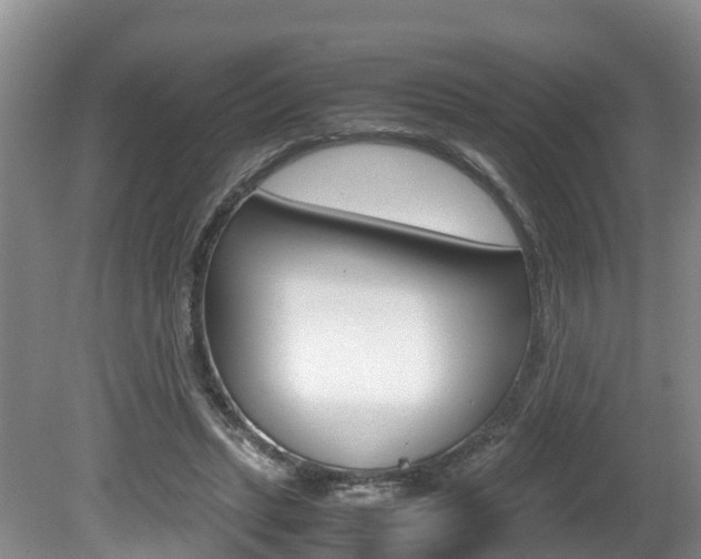 X0000080710447200612150907