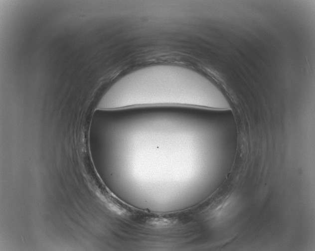 X0000080710453200612150907