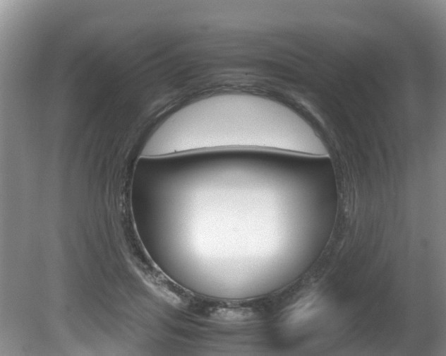 X0000080710455200612150907