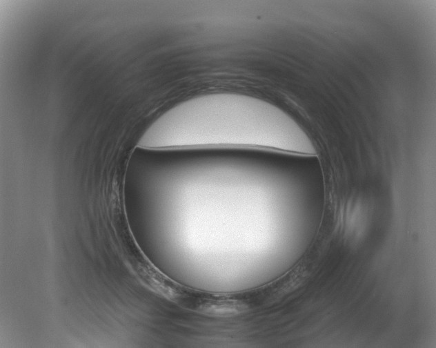 X0000080710459200612150907