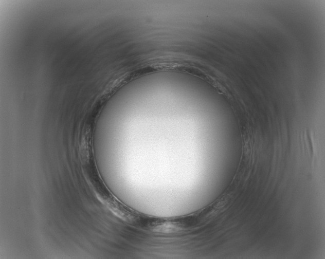 X0000080710460200612150907