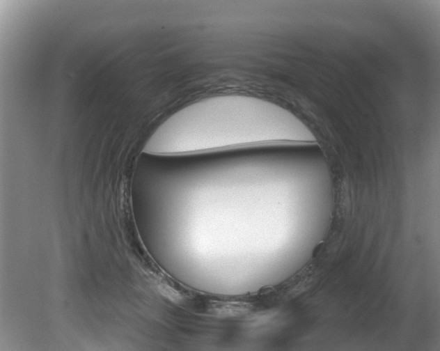 X0000080710463200612150907