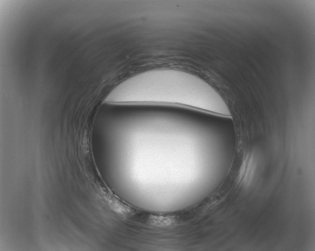 X0000080710469200612150907