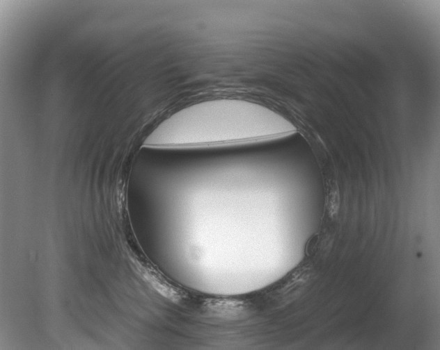 X0000080710476200612150907