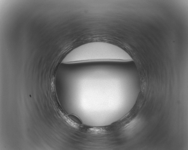 X0000080710477200612150907