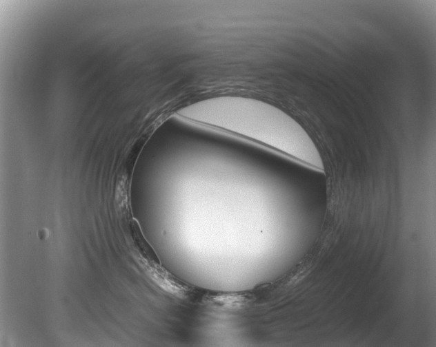 X0000080710478200612150907