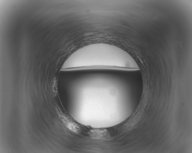 X0000080710480200612150907
