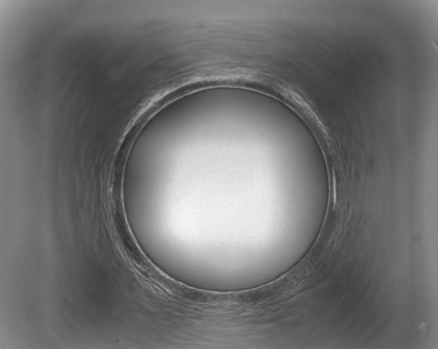 X0000080710483200612150906