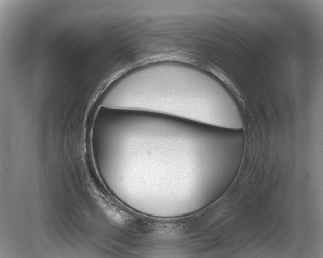 X0000080710486200612150906