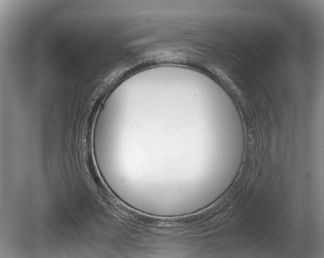 X0000080710487200612150906