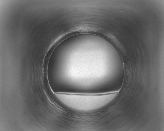 X0000080710488200612150906