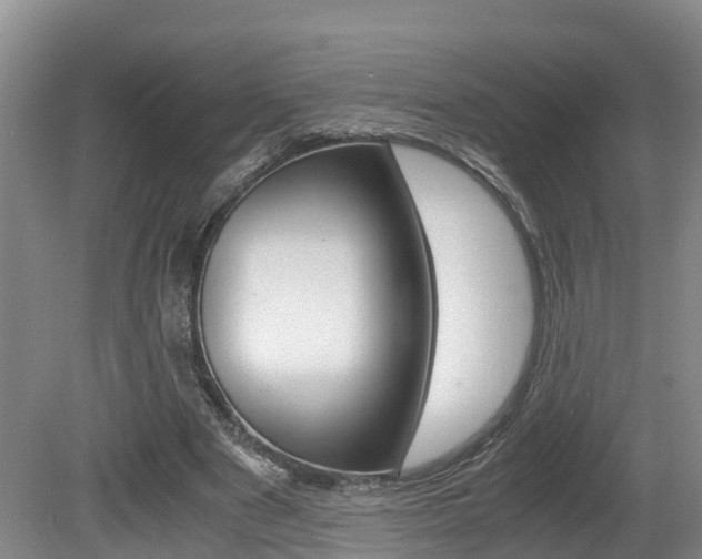 X0000080710489200612150906