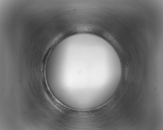 X0000080710490200612150906