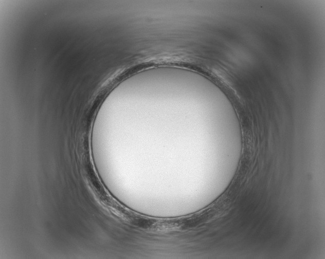 X0000080710491200612150906