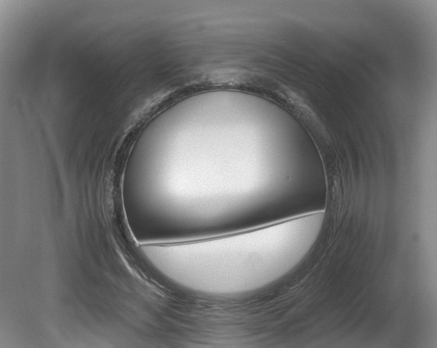 X0000080710492200612150906