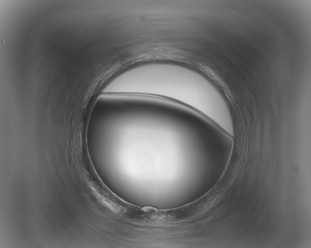 X0000080710493200612150906