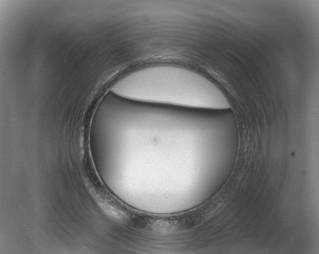 X0000080710494200612150906