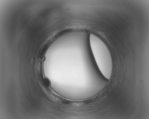 X0000080710495200612150906
