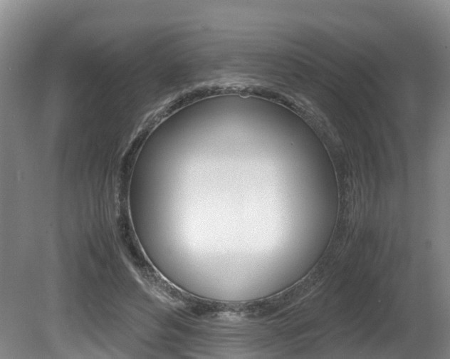 X0000080710496200612150906