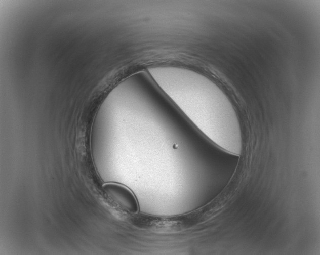 X0000080710497200612150906