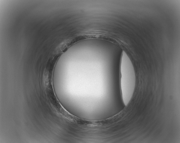 X0000080710504200612150906