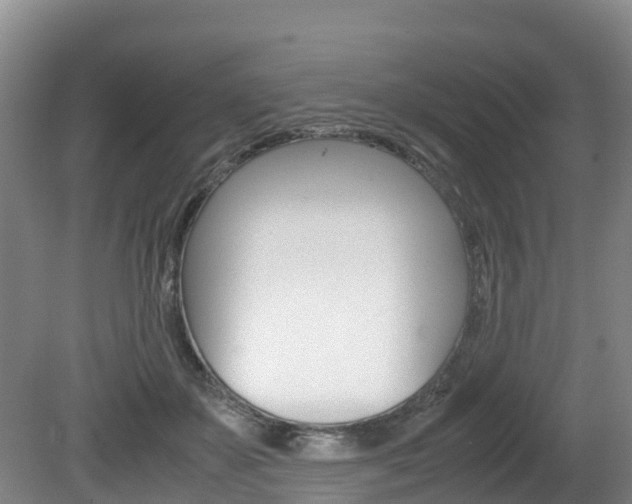 X0000080710507200612150906