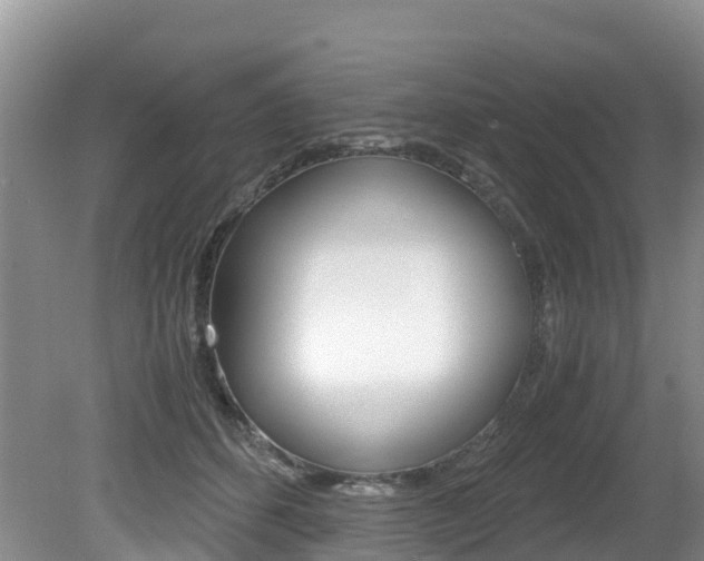 X0000080710512200612150906