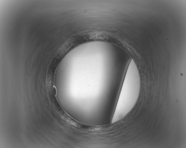 X0000080710513200612150906