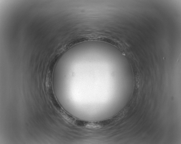 X0000080710515200612150906
