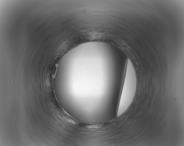 X0000080710516200612150906