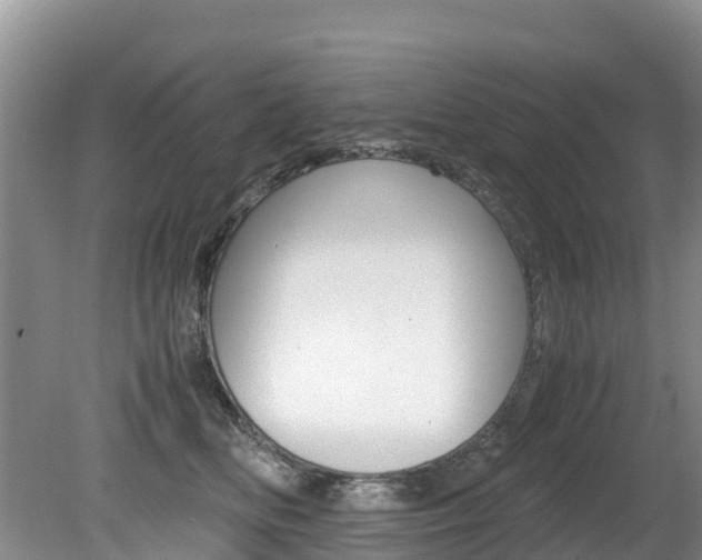 X0000080710518200612150906