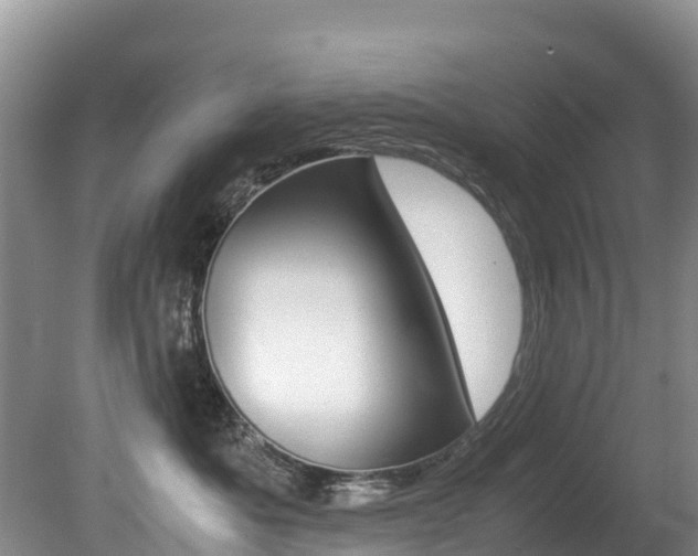 X0000080710525200612150906