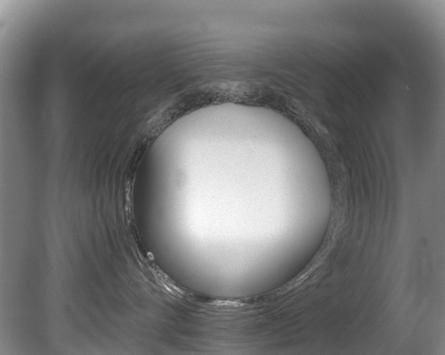 X0000080710528200612150906