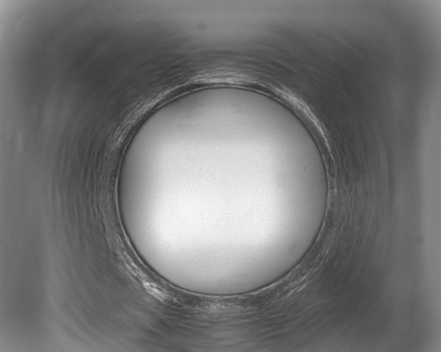 X0000080710529200612150905