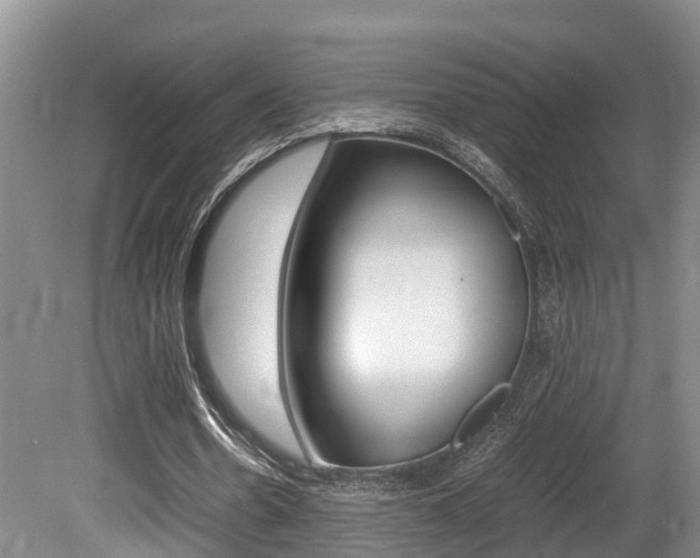 X0000080710530200612150905