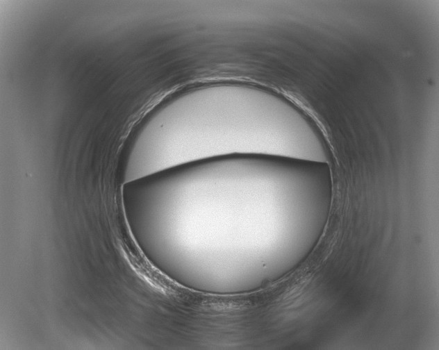 X0000080710533200612150905