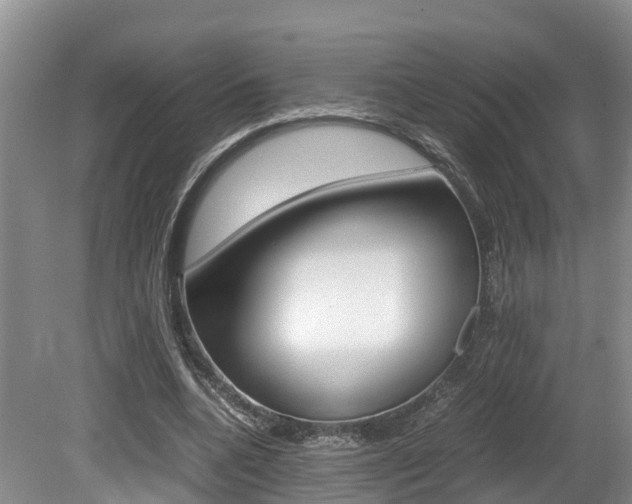 X0000080710536200612150905