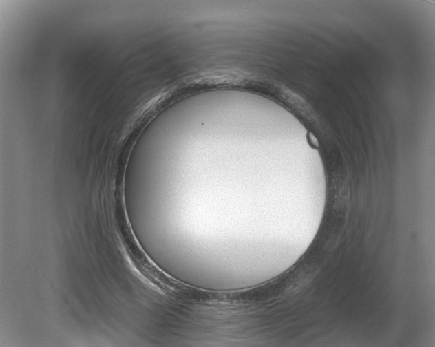 X0000080710538200612150905
