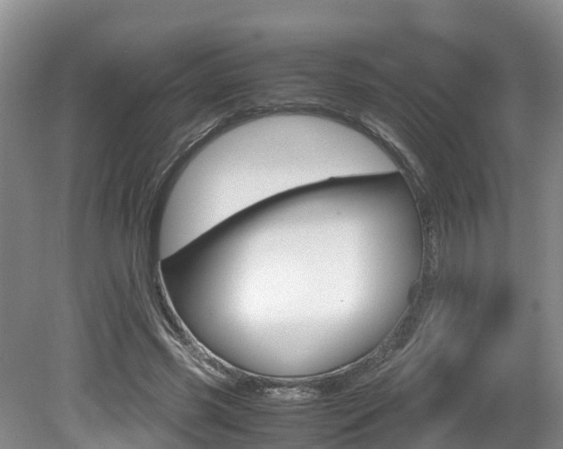 X0000080710541200612150905