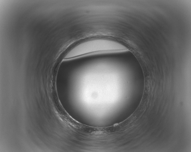 X0000080710544200612150905