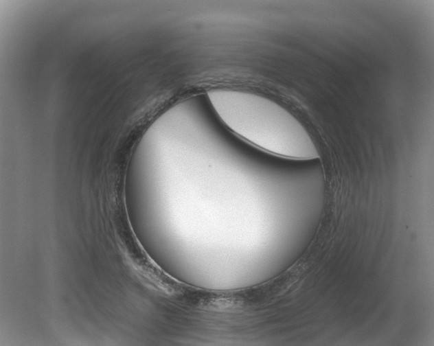 X0000080710546200612150905