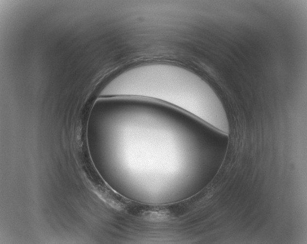 X0000080710548200612150905