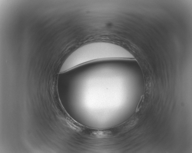 X0000080710558200612150905