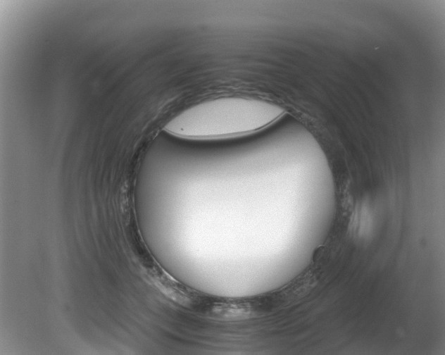 X0000080710559200612150905